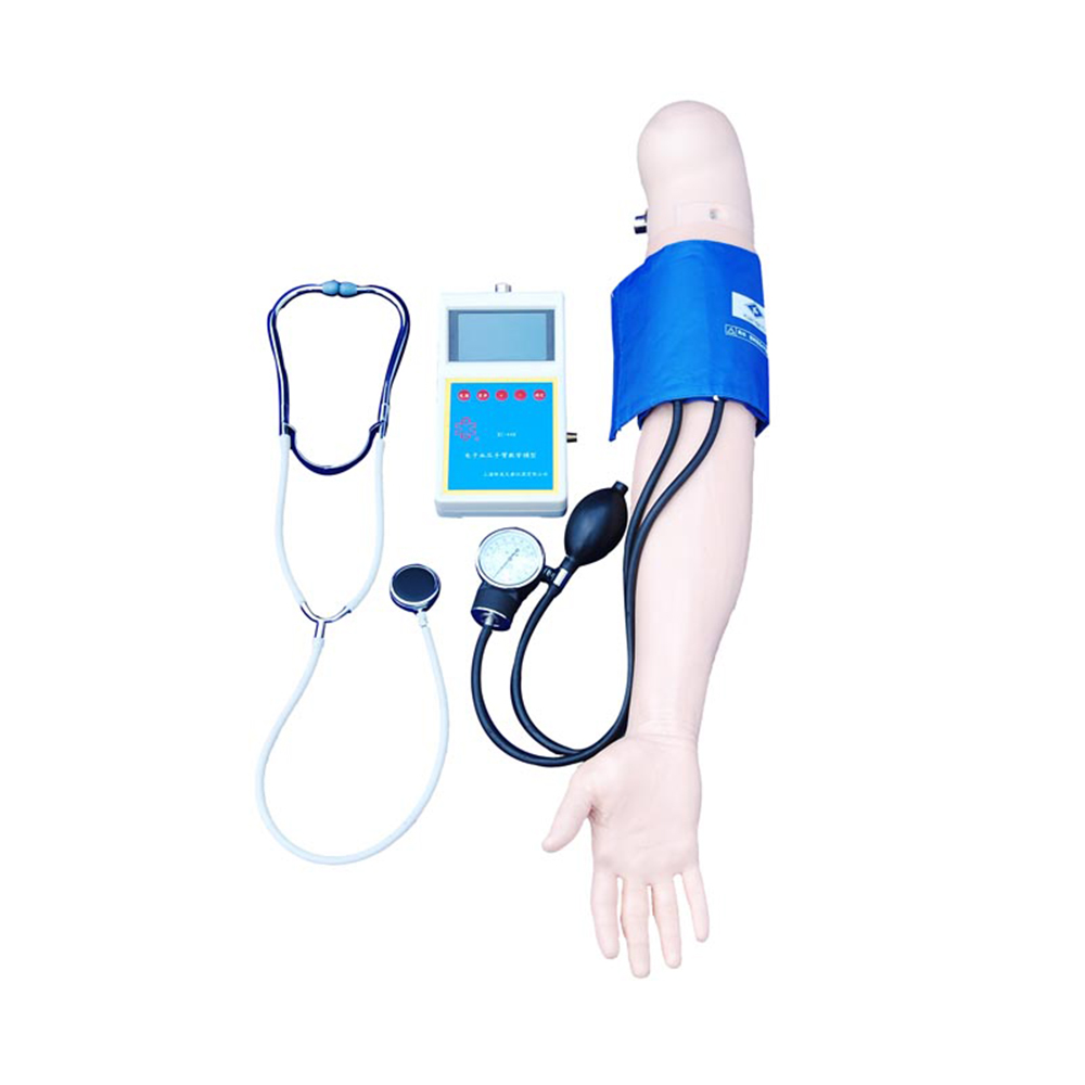 LTM436 Blood Pressure Training Arm