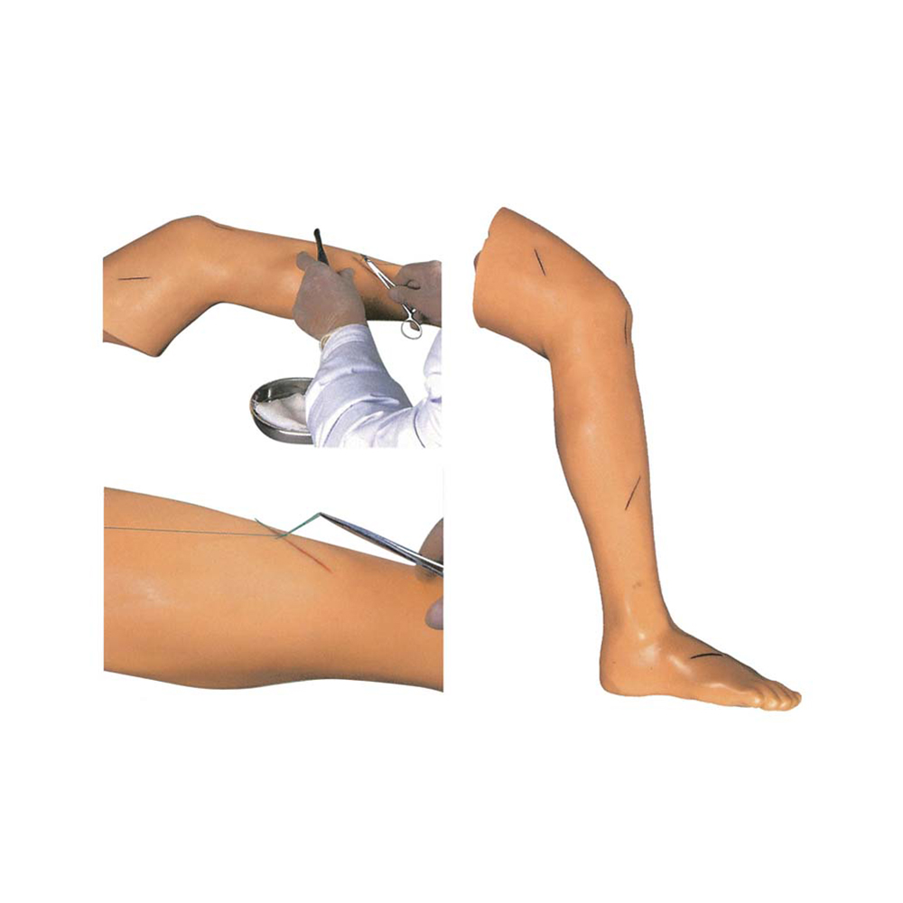 LTM423 Advanced Suture Practice Leg