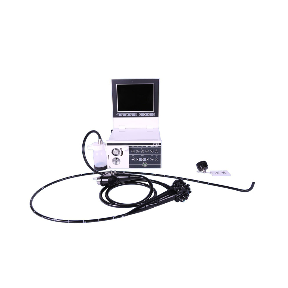 LTVE02 series Video Veterinary Gastroscope LTVE03 Colonoscope