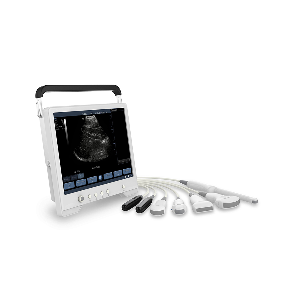LTVU03 animal Touch Laptop Black and white ultrasound machine