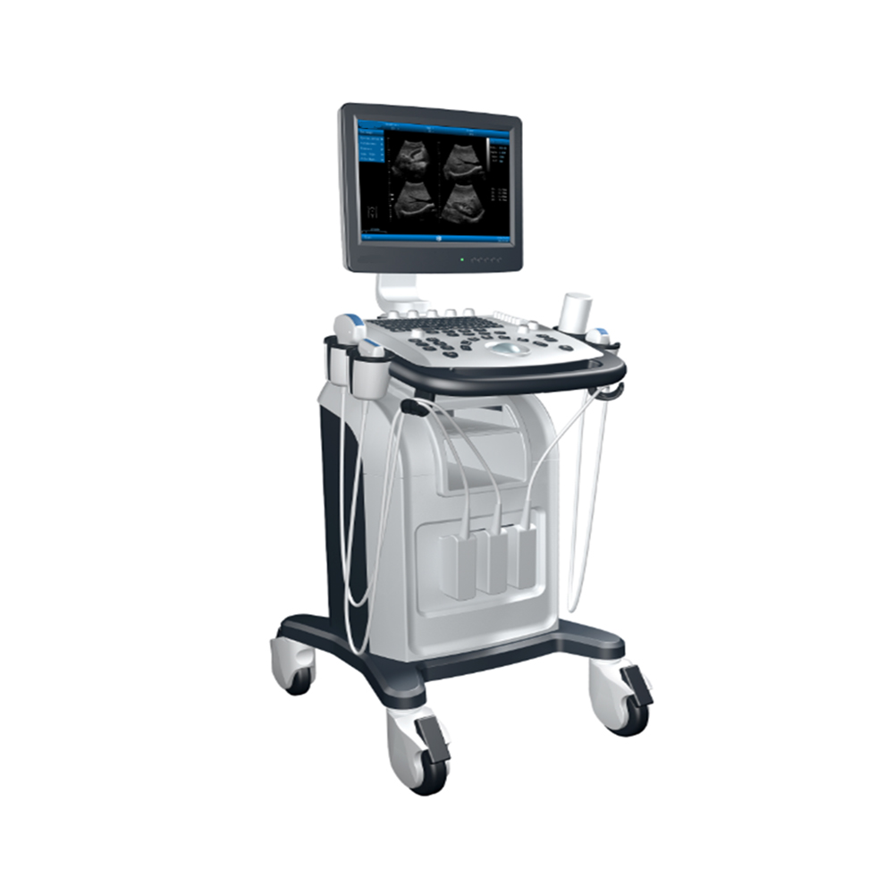 LTUB30 Full Digital Ultrasonic Diagnostic System