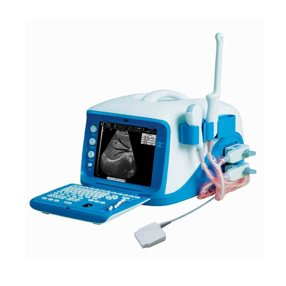 LTVU05 Vet Portable B ultrasound scanner
